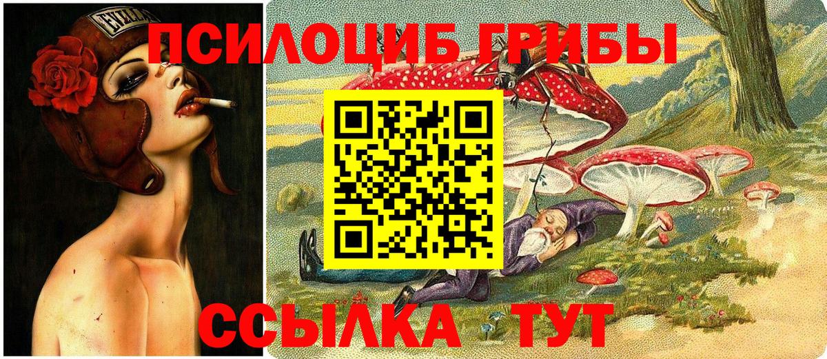 Галлюциногенные грибы Дмитров