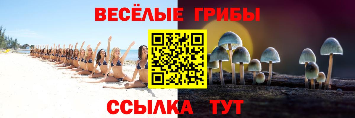 Галлюциногенные грибы мухоморы Дмитров